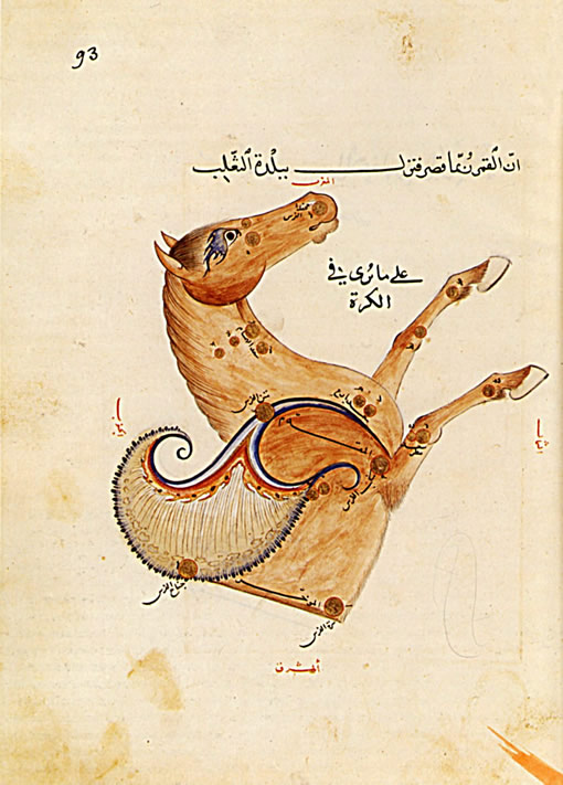 1440.  Al-Soufi  Les Figures des Etoiles Fixes  Samarqand, Ouzbekistan
